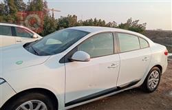 رينو فلوينس